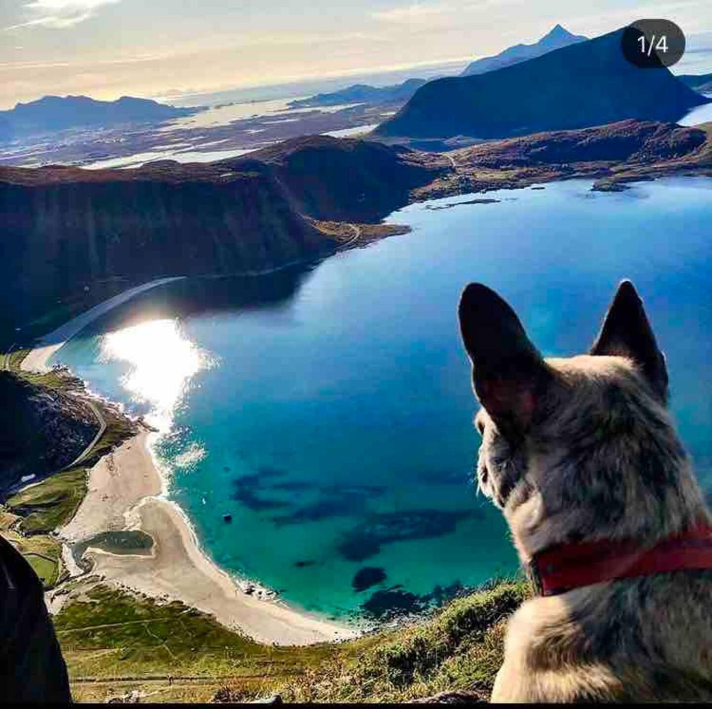 Lofoten Seaview بولستاد المظهر الخارجي الصورة