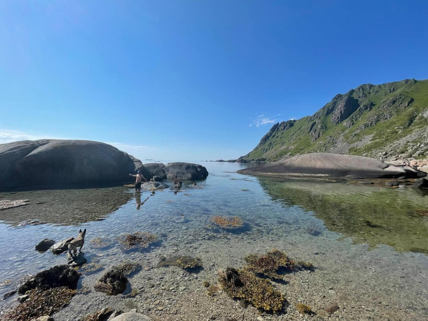 Lofoten Seaview بولستاد المظهر الخارجي الصورة